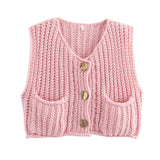 Early Autumn Knitted Vest