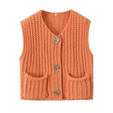 Early Autumn Knitted Vest