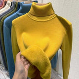 Winter Fleece Thick Knitted Bottoming Shirt