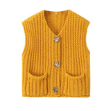 Early Autumn Knitted Vest