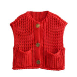 Early Autumn Knitted Vest