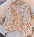 Sequins Feathers Sweater