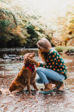 The Big Cozy Fall Leaf Sweater