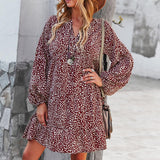 Leopard Print Long Sleeves Dress